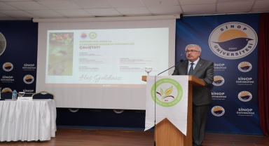 Sinop'ta Kestane Gal Arısı ve Kahverengi Kokarca Mücadelesi Çalıştayı düzenlendi