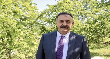 Trabzon'da kahverengi kokarcayla mücadele için doğaya samuray arıları salınacak