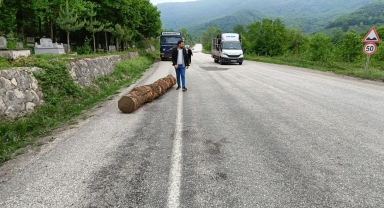 Yığılca'da araçtan yola düşen tomruk kaldırıldı