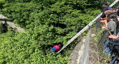 Zonguldak'ta çalılık alana düşen 7 köpek yavrusu kurtarıldı