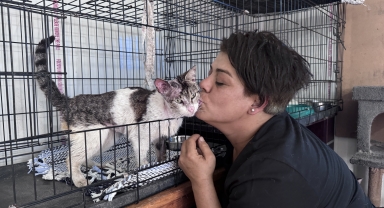 104 köpek ve 46 kediye bakan hayvansever