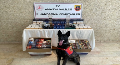 Amasya'da 18 bin makaron ele geçirildi