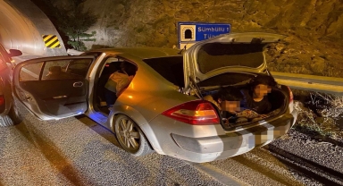 Artvin'de 11 düzensiz göçmen yakalandı