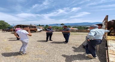 Dodurga’dan kısa kısa