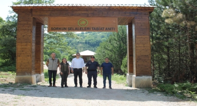 Gerze Kaymakamı Arabacı, Sorgun Şelalesi'ndeki çalışmaları inceledi