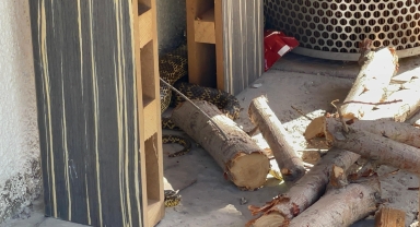 Karabük'te apartmanın bahçesine giren yılanı itfaiye yakaladı
