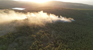 Kastamonu'da çıkan orman yangını kontrol altına alındı