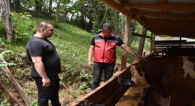 Ordu Tarım ve Orman Müdürü Yılmaz kurban kesimiyle ilgili tavsiyelerde bulundu: