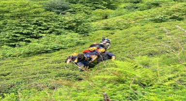 Rize'de kestiği ağacın altında kalan kişi yaralandı
