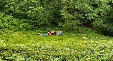Rize'de odun keserken dereye yuvarlanan kişi yaralandı