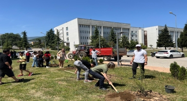 Samsun'da Çevre Haftası kapsamında fidan dikimi yapıldı