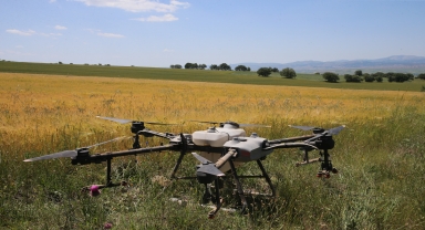 Tokat'ta dron alan çiftçi kendisinin ve diğer çiftçilerin ekili alanlarını ilaçlıyor