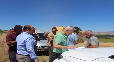 Tokat'ta hubat hasadı sürüyor