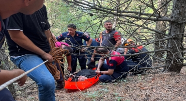 Amasya'da dere yatağına düşen kişiyi AFAD ve itfaiye ekipleri kurtardı