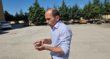 Amasya'da sıcaktan bitkin düşen serçe yavrusuna okul müdürü yardım etti