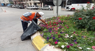 Bafra'da çevre düzenlemeleri devam ediyor