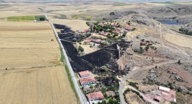 Çorum'da otların tutuşturulmasıyla başlayan yangında 31 dekar ekili alan yandı