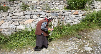 Kaçkar yaylalarında