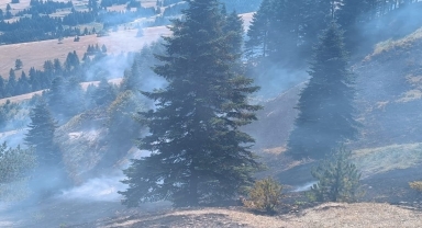 Samsun'da ormanlık alanda çıkan yangın kontrol altına alındı
