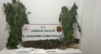 Ayvacık'ta uyuşturucu operasyonunda 1 şüpheli yakalandı