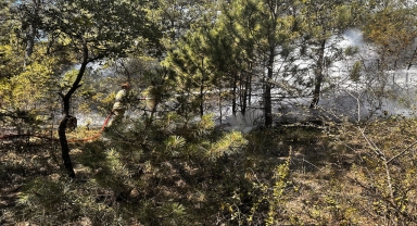 Bolu'da ormanlık alanda çıkan yangına 71 saattir müdahale ediliyor