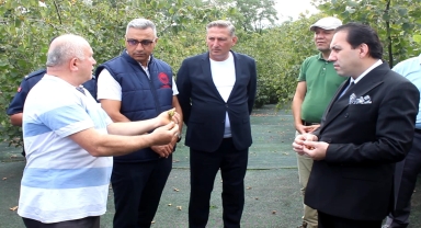 Fındık üreticileri