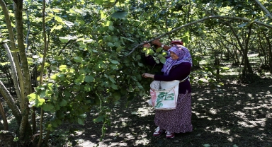Giresun'da