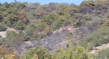 GÜNCELLEME - Tokat'ta çıkan orman yangını kontrol altına alındı
