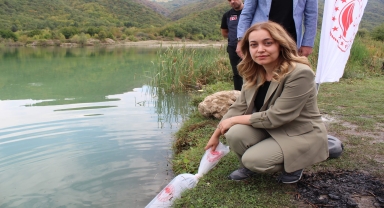 Karabük'te göl ve göletlere 30 bin sazan yavrusu bırakıldı