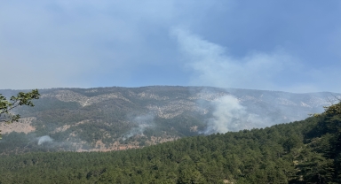 Karabük'te ormanlık alanda çıkan yangına 46 saattir müdahale ediliyor