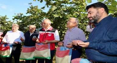 Ordu'da protokol üyeleri üreticilerle fındık hasadı gerçekleştirdi