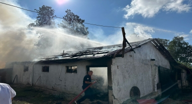 Samsun'da çıkan yangında samanlık ve odunluk zarar gördü