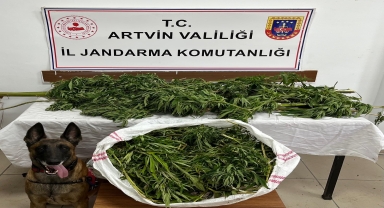 Artvin'de evlerinde uyuşturucu ele geçirilen 2 zanlı tutuklandı