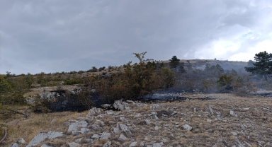 Bolu'da çıkan örtü yangını söndürüldü