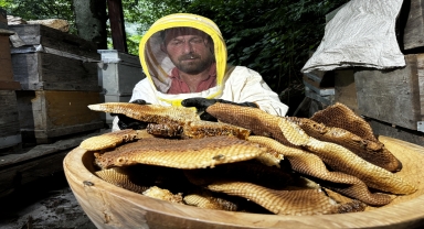 Coğrafi işaret tescilli Ayder balında hasat mesaisi başladı