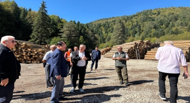 Güney Koreli ormancılar, Bolu'da incelemelerde bulundu
