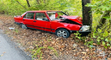 Karabük'te ağaca çarpan otomobildeki 2 kişi yaralandı