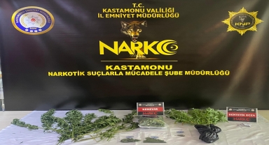 Kastamonu'da balkonda Hint keneviri yetiştiren kişi yakalandı