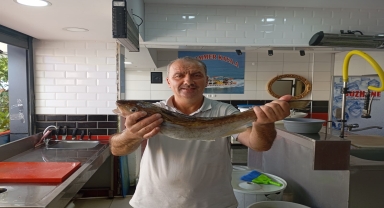 Ordu'da oltayla avlanan 1 kilogramlık mezgit 500 liraya satıldı