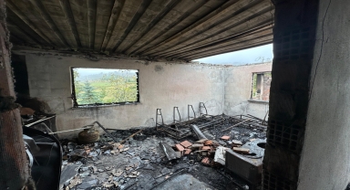 Ordu'da yaylada çıkan yangında bir ev kullanılamaz hale geldi