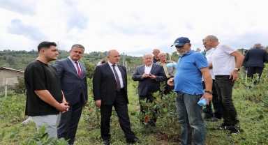 Ordu Valisi Erol'dan aronya üreticisine ziyaret