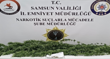 Samsun'da uyuşturucu operasyonu