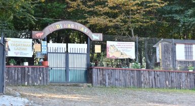 Samsun'daki