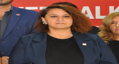 CHP Sinop Kadın Kolları Başkanı Tümer'den kadın ve çocuk cinayetleri açıklaması