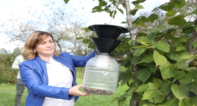 Kahverengi kokarca ile mücadelede