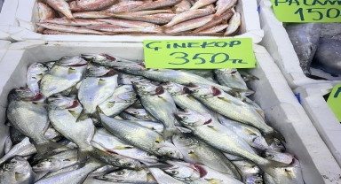 Ordu'da olumsuz hava koşulları balık fiyatlarını artırdı