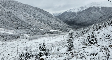 Rize'de yaylacıların köye dönüş yolculuğu devam ediyor
