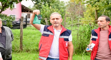 Samsun'da kahverengi kokarca ile mücadele için çiftçilere feromon tuzağı desteği