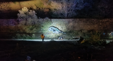 Samsun'da köpeğe çarptıktan sonra şarampole devrilen aracın sürücüsü yaralandı