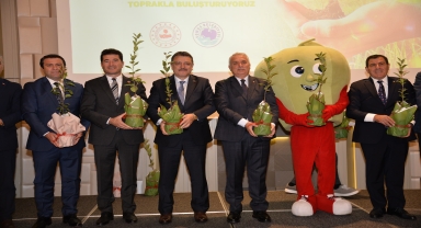 Trabzon'da 5 bininci Yomra elması fidanı dikildi